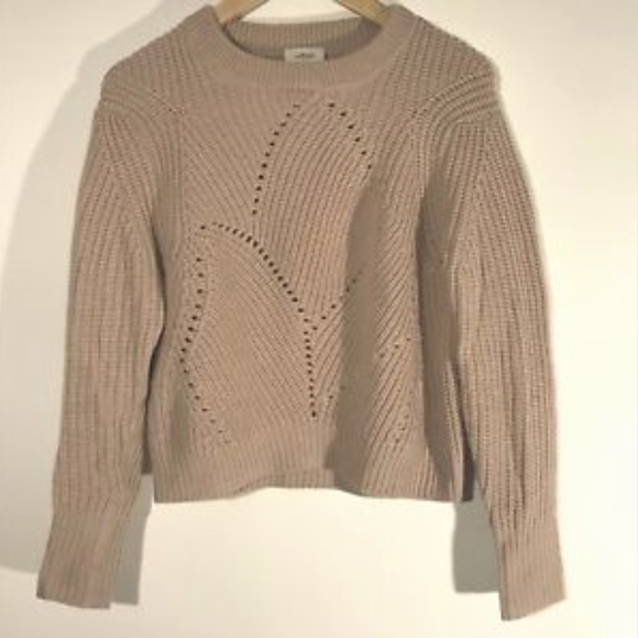 Aritzia Sweaters - Wilfred Free Aritzia Chunky Knit Sweater S16